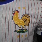 MAILLOT FRANCE EXTÉRIEUR 24/25